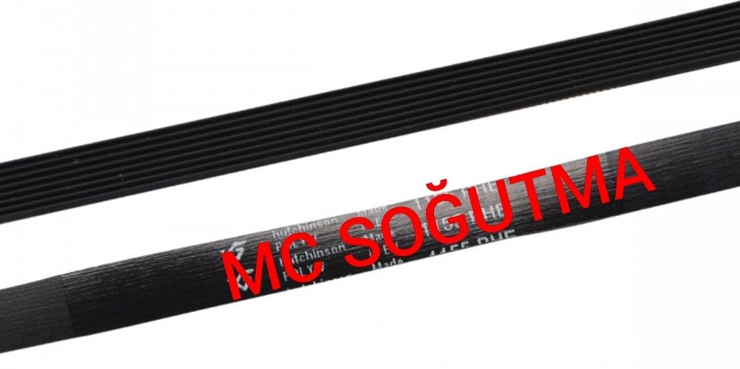 1270 PJ KAYIŞ KALIN DİŞ