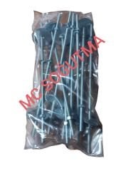 10LU SAPLAMA 8 * 33 cm DUVAR TİJ PUL + SOMUN DAHİL TAKIM