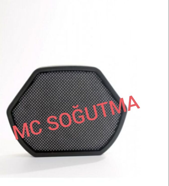 BOSCH BGS 22030 SÜNGER FİLTRE
